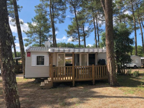 Prix dégressif - Bungalow 4-6 personnes aux Dunes de Contis